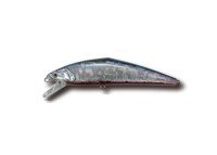 SMITH D-Contact 110 #49 Katakuchi Shell