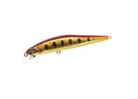 WATERLAND Jerk Sonic 65 #11 Red/Gold/Yamame