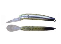 DAYSPROUT Eagle Player 50Slim/GJ #HI-01 Remy