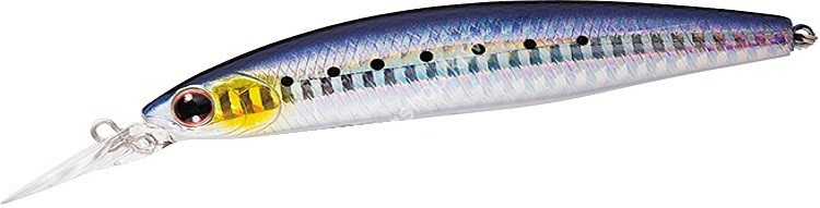 DAIWA Shore Line Shiner Z Set Upper 145S-DR #Laser Maiwashi