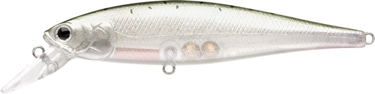 LUCKY CRAFT Pointer 100SP #Coho Salmon (Silver Salmon) - Gin Sake