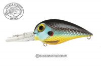 STORM Wiggle Wart Madflash VM681