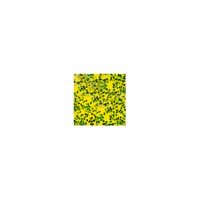 TIEMCO Flapping Hog Jr. FHJ-08-169