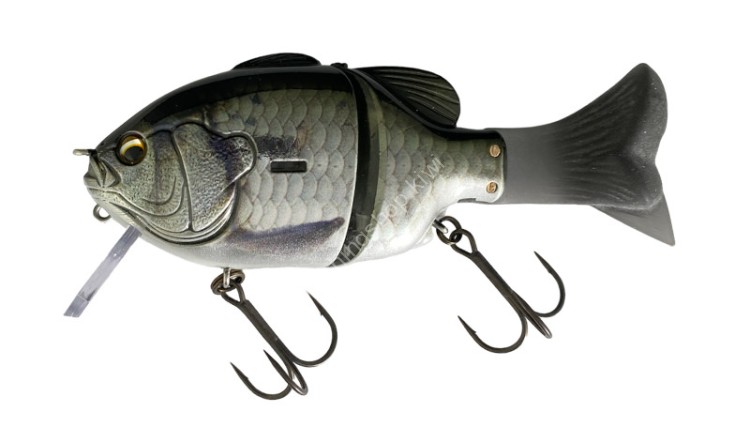 IMAKATSU Gillroid Baby (3D Realism) #889 3DR Cold Carp/Mirror Silver