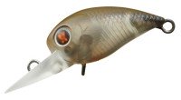 DAIWA Presso WabCra Jr. 25DR-F #Cafeaulait Sherbet