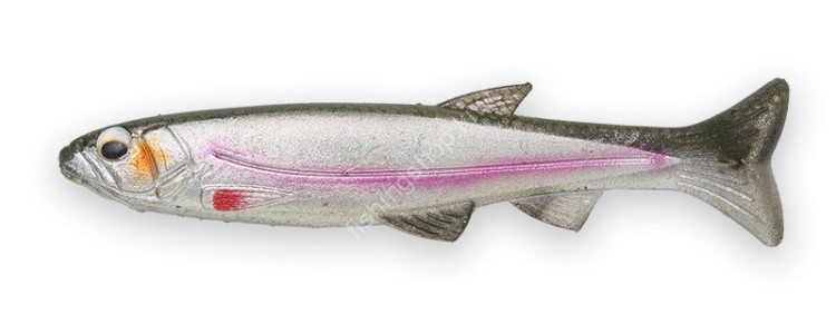 IMAKATSU Huddle Swimmer Elastomer 4.5" Eco #S-229 Half Skeleton Smelt Type?