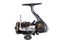 DAIWA 19 Ballistic FW LT1000S-P