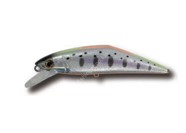 SMITH D-Contact 85 #54 WS Indicator