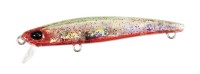 DUO Tetra Works Toto Slim 50S #CZA0778 KuruKuru Bachi