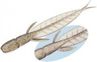 EVERGREEN C-4 Leech 3.1 #81 Cristal Shadow