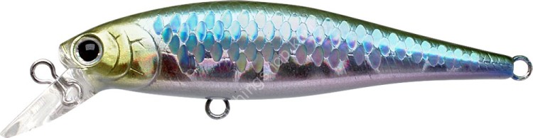 LUCKY CRAFT Pointer 65SP #Japan Shad