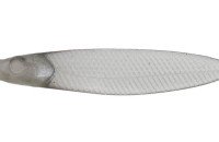 ISSEI Liar Minnow Flat Sakana Sakana 3.8" #64 AK Smoke