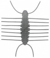 IMAKATSU Pellet Bug 40 #S-379 Stells