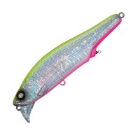 WHIPLASH FACTORY Wake The Dead 125F #WS13MGG Chart Back Pink Belly