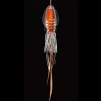 LUMICA C00131 Puni-Rubber 40g #UV-Orange (Metallic Orange)