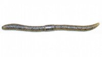 JACKALL Flick Shake 3.8 2-tone Rhinogobius Blue