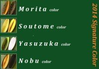 RODIO CRAFT QM 2.8g #2014 Morita color