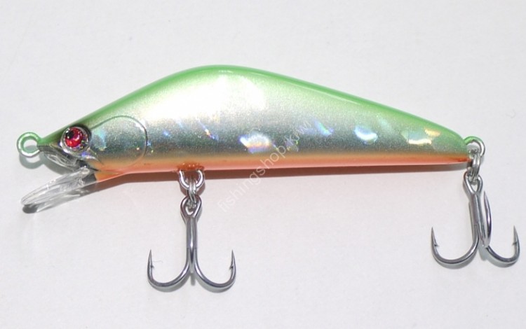 SHIN Crudo 55S #06 Muscat Orange Belly
