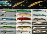 RODIO CRAFT RC Panish70 #01 Chart / BH / Orange Belly