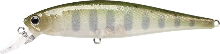 LUCKY CRAFT Pointer 100SP #Baby Masu Salmon - Baby Yamame