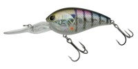 NORIES Shot Over 3.5TS #207H Hologram Flashing Gill