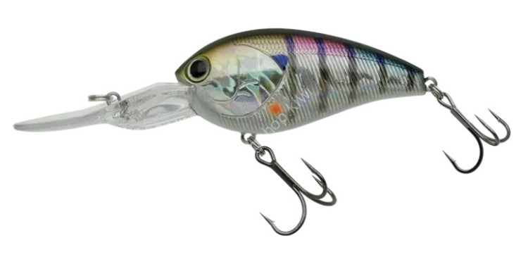 NORIES Shot Over 3.5TS #207H Hologram Flashing Gill