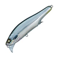 WHIPLASH FACTORY Wake The Dead 125F #WS19RHG Trans DS Blue R