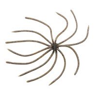 REINS Umbrella Wire SW #002 Green Pumpkin