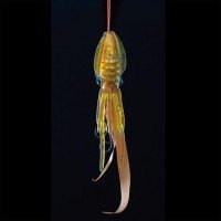 LUMICA C00135 Puni-Rubber 60g #Pumpkin (Gold)