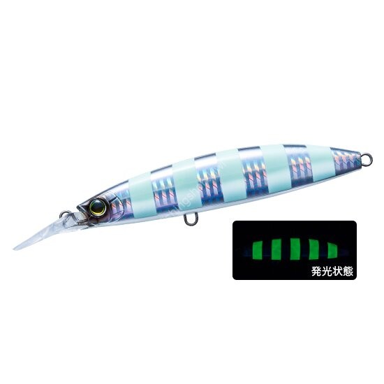 DUEL Hardcore Bullet Fast (S) 100mm 24g #13 HZLS Zebra Glow Silver