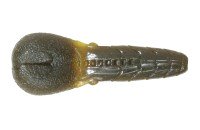 ISSEI AK Punch 2.8"' #69 Kuisiburi Pumpkin (5pcs)