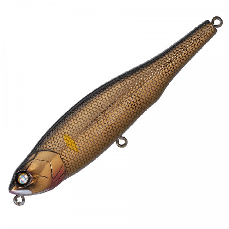 WHIPLASH FACTORY Live Wire L17 GLG Gold Ayu