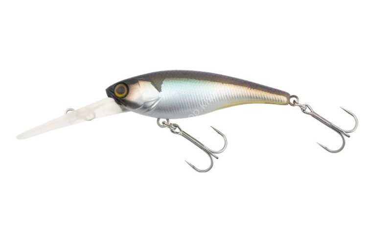 JACKALL Soul Shad 52SP #Numeri Wakasagi