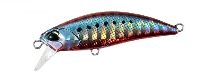 DUO Tetra Works Toto 48HS GHA0335 Red Sardine