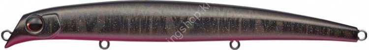 EVERGREEN Avenger 125F #778 Star Dust Black