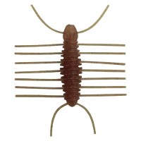 IMAKATSU Pellet Bug 40 (Eco) # S-356 Laydown Shrimp