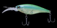 FLASH UNION Speed killer F 008 Skeleton lime CH