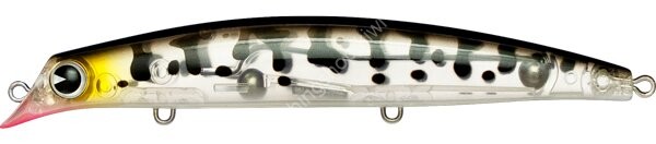 IMA Sasuke 120 Saba #RP237 Coach Dog Clear