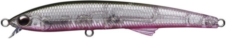 EVERGREEN Honesty 95S #843 Haku Pink Belly