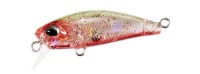 DUO Tetra Works Toto Fat 35F #CZA0778 KuruKuru Bee