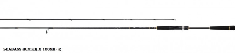 DAIWA Seabass Hunter X 100MH R