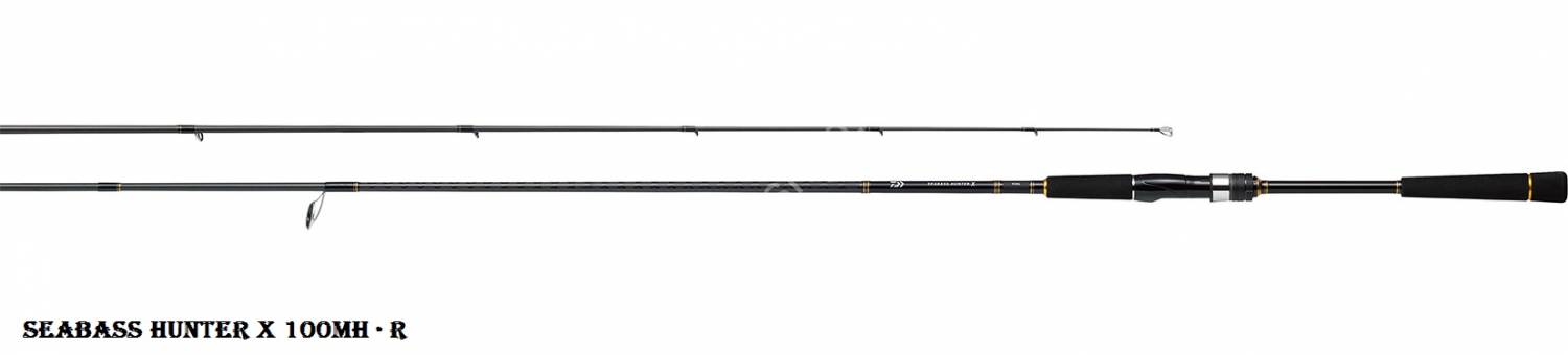 DAIWA Seabass Hunter X 100MH R Rods buy at