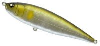 MARUJIN UK BigBait 160F #65 SAY (Seiryū Ayu)