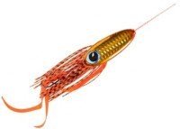 REAL FISHER ikaraba 80g #AkaKin