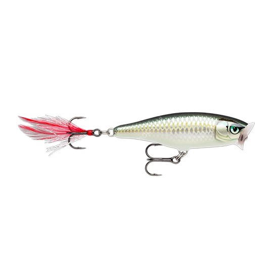 RAPALA Skitter Pop 7cm 7g SP7-BLK Lures buy at