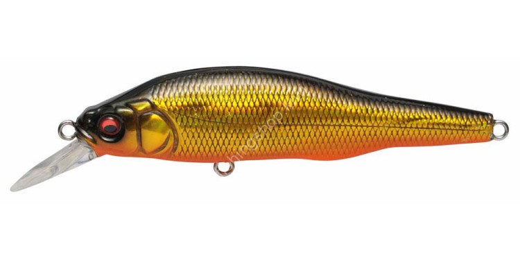 MEGABASS X-80 Trick Darter #GG Megabass Kinkuro