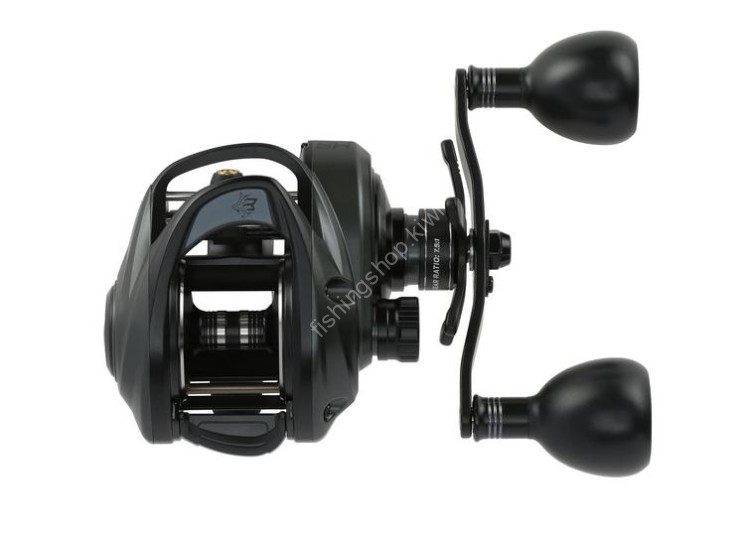 ABU GARCIA Beast LP Beast 300 High Gear