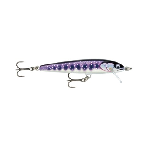 RAPALA Floater Elite 8.5cm 6.5g #FE85-GDIW Guildid Iwana Lures buy at