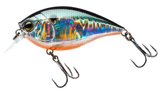 DUEL Hardcore Crank SR 65F #06 GT Holo Tennessee Shad Lures buy at