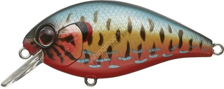 EVERGREEN Combat Crank Shallow Hawg # 282 Pankin Seed